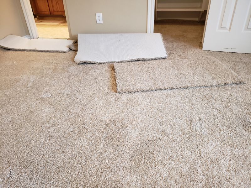 Carpet Repair Service in Denver County, CO