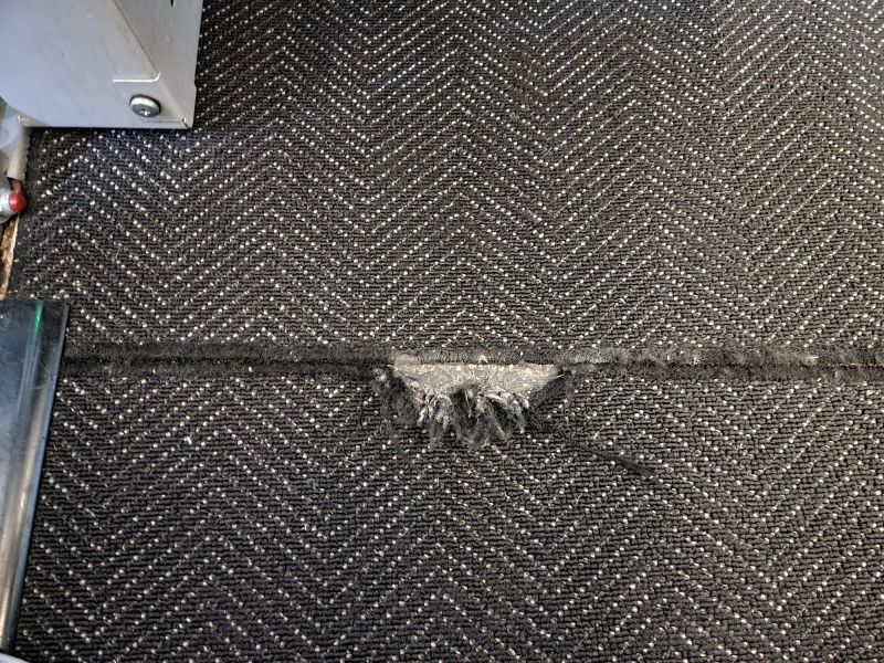 Pet Stain Carpet Repair in Littleton, CO