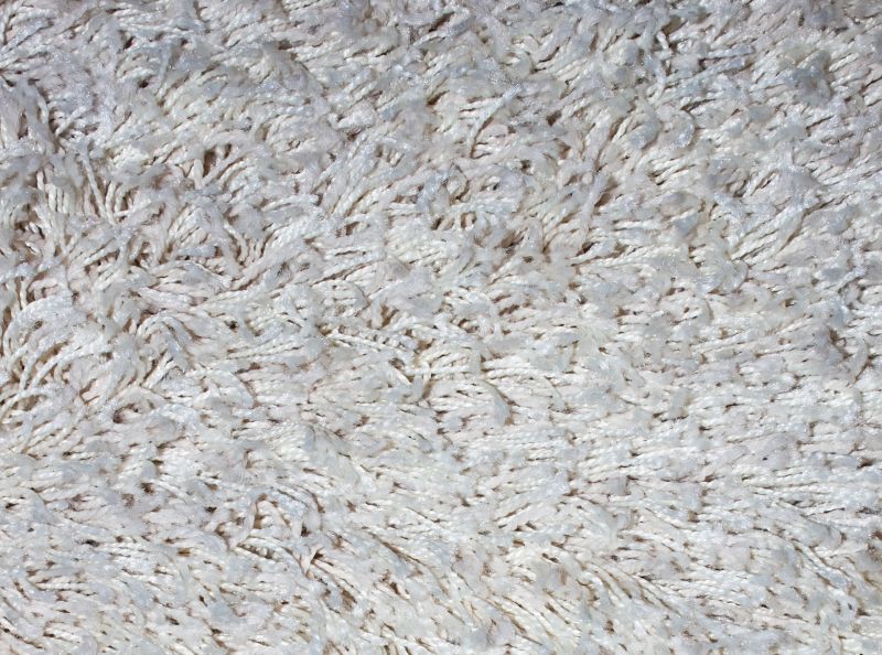 Pet Stain Carpet Repair in Kansas City, KS